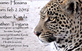 01 Hosana Info