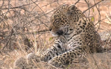 Thandi 04 27072017