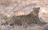 Thandi 05 27072017