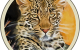 Thandi Retouched