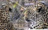 Hosana Xongile 19 08 2017 001